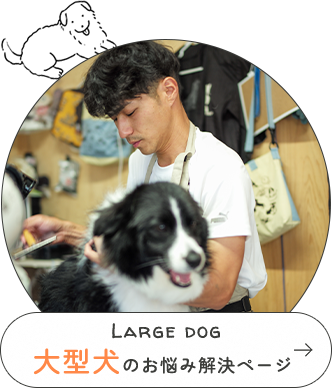 Large dog大型犬を飼っている方