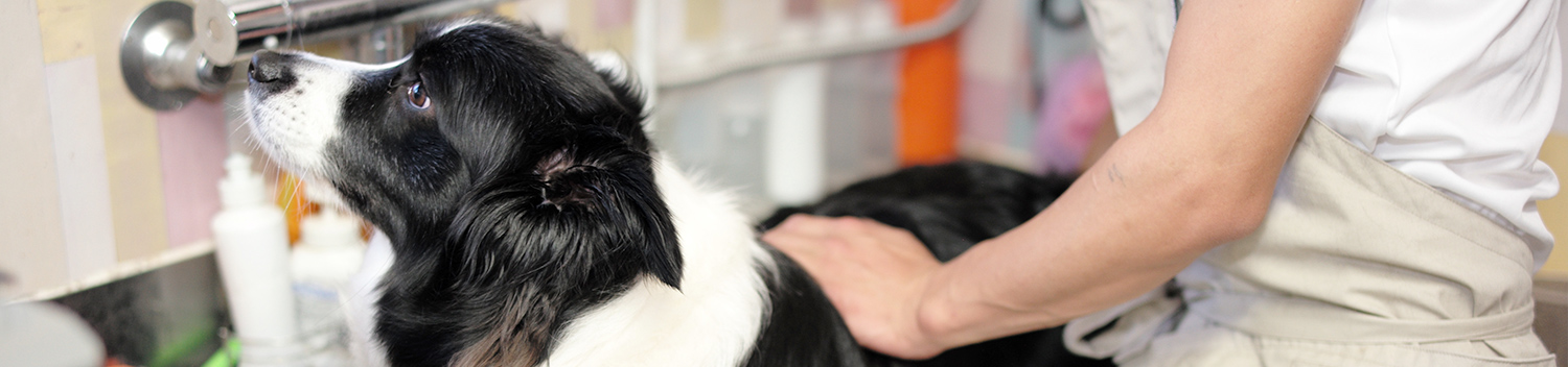 プライバシーポリシー