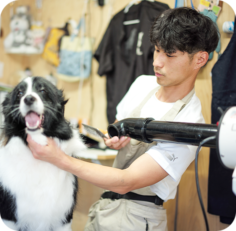 藤枝のトリミングサロンペットハウスLuceにお任せ！