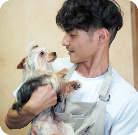 藤枝のトリミングサロンペットハウスLuceにお任せ！