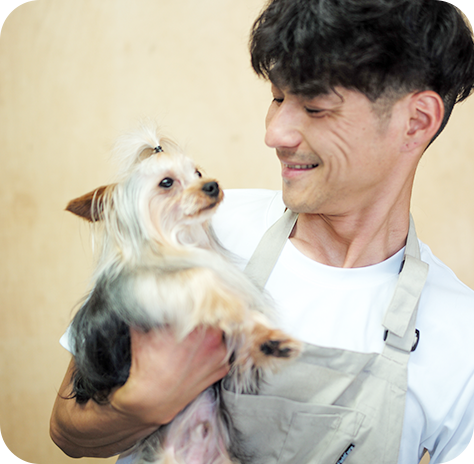 藤枝のトリミングサロンペットハウスLuceにお任せ！